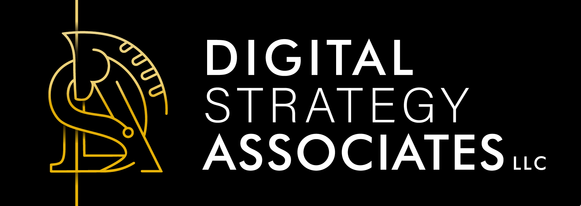 Digital Strategy Associates LLC